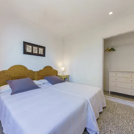 Ficus Villa *