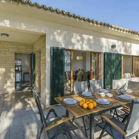 Ficus Villa *